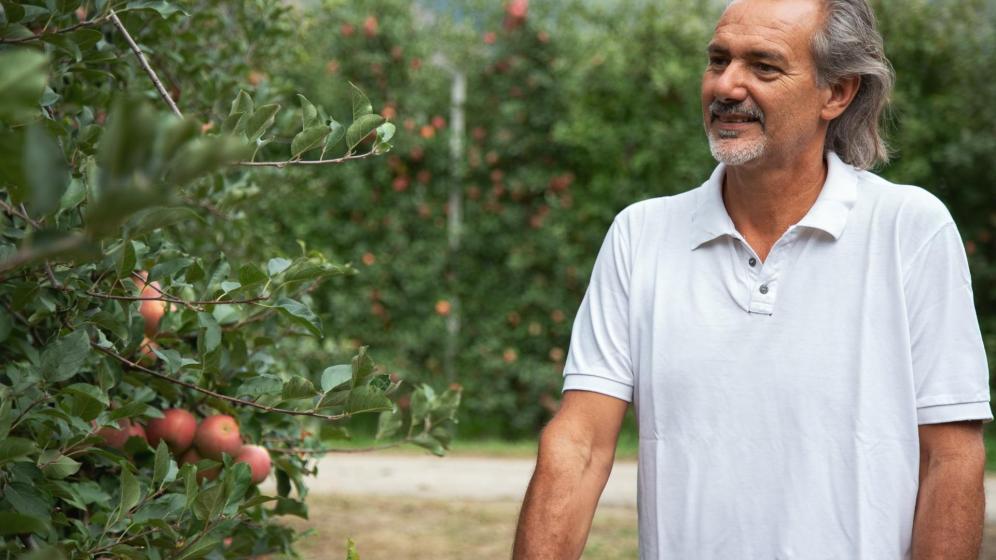 Apfelbauer Thomas Knoll mit einem Apfelbaum