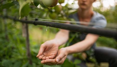 Misure di risparmio idrico nei meleti dell’Alto Adige