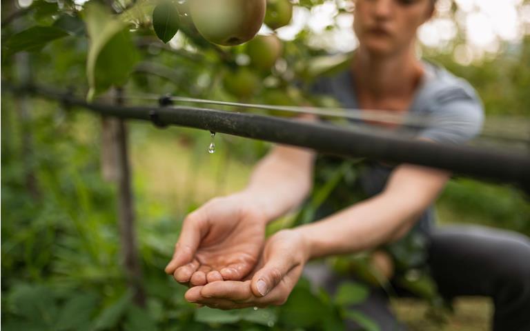 Misure di risparmio idrico nei meleti dell’Alto Adige