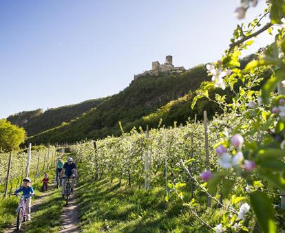 Mela Alto Adige