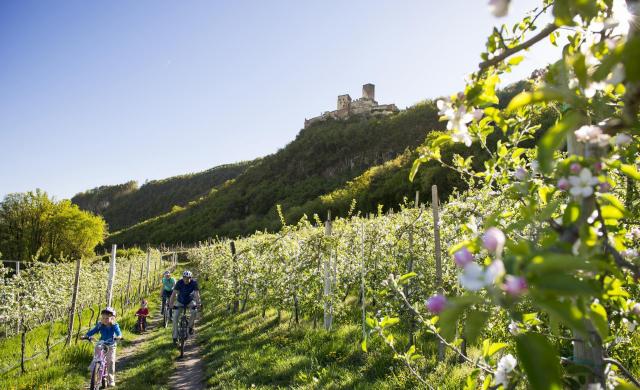 Mela Alto Adige