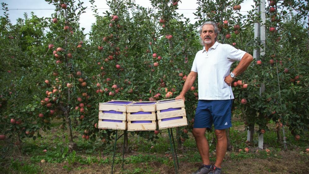 Frutticoltore Thomas Knoll con il suo raccolto