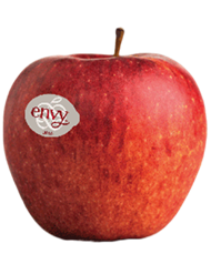 Foto della varietà di mela Envy