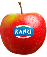 Foto della varietà di mela Kanzi