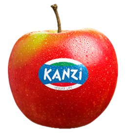 Mela Kanzi