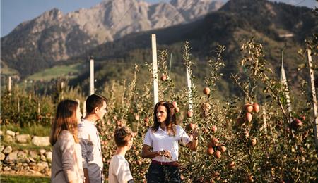 Famiglia di tre persone accompagna da una contadina durante una visita ai meleti autunnali, con montagne sullo sfondo