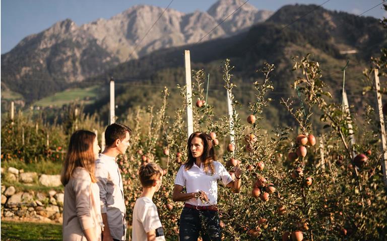 Famiglia di tre persone accompagna da una contadina durante una visita ai meleti autunnali, con montagne sullo sfondo