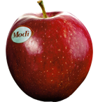 Mela Modi