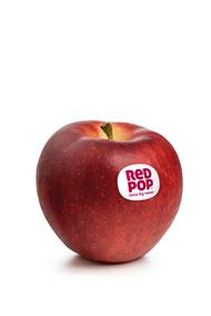 Foto della varietà di mela RedPop