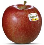 Foto della varietà di mela Braeburn
