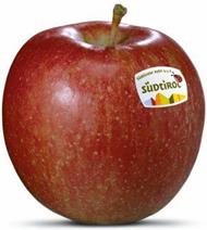 Foto della varietà di mela Braeburn
