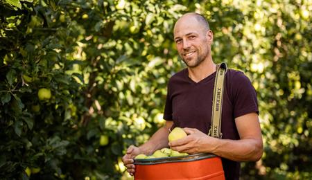 Coltivatore di mele nel meleto con una cassetta di mele fresche in mano, sorride alla camera