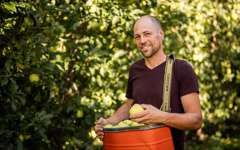 Coltivatore di mele nel meleto con una cassetta di mele fresche in mano, sorride alla camera