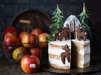 winterapfel-torte