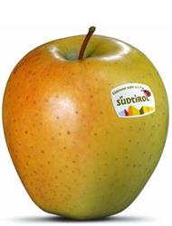 Foto della varietà di mela Golden Delicious