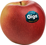 Sorta di mele Giga