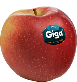 Sorta di mele Giga