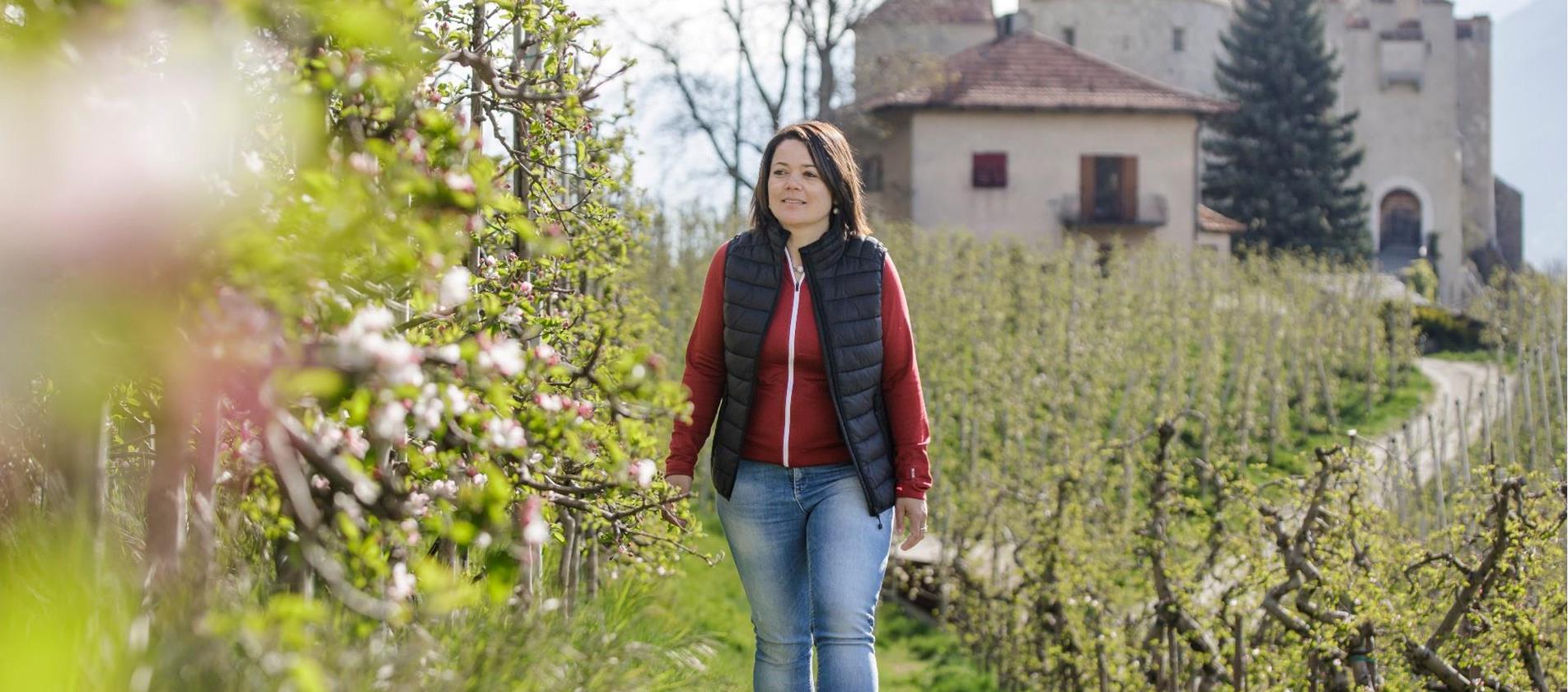 Frutticoltrice Maria Tappeiner nel meleto