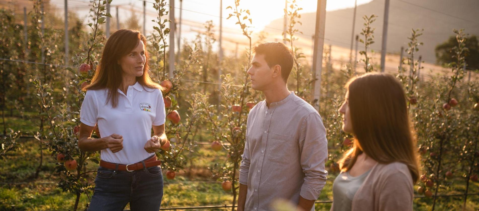 I nostri collaboratori spiegano il mondo delle mele