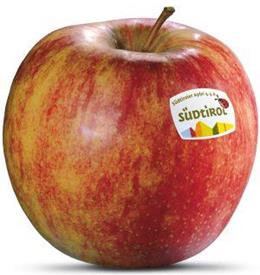 Foto della varietà di mela Jonagold